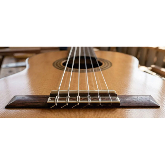 Cejuela Plástica Superior e Inferior Guitarra Clásica Musicparts