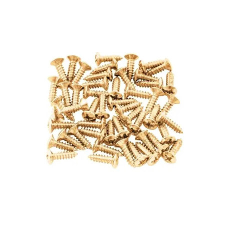 Set 12 tornillos pickguard GD Musicparts