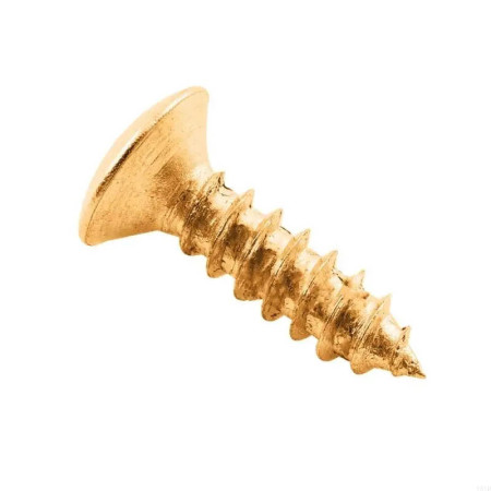 Set 12 tornillos pickguard GD Musicparts